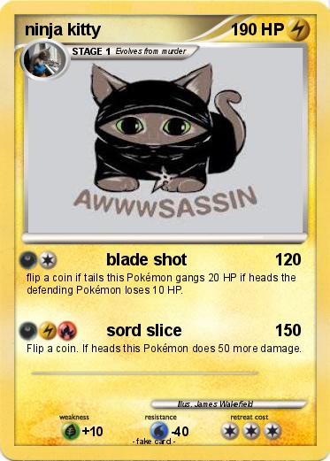 Pokemon ninja kitty