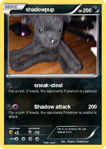 Pokemon shadowpup