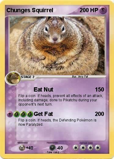 Pokemon Chunges Squirrel