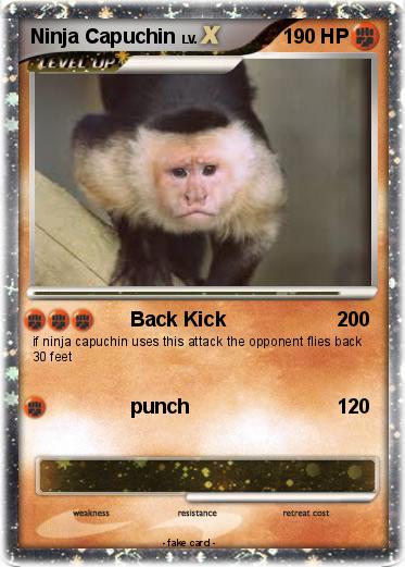 Pokemon Ninja Capuchin
