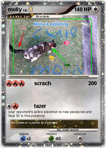 Pokemon molly