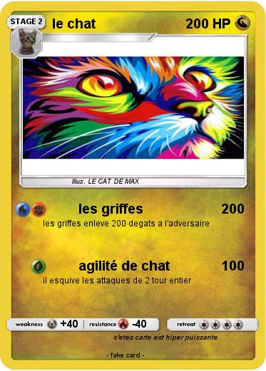 Pokemon le chat