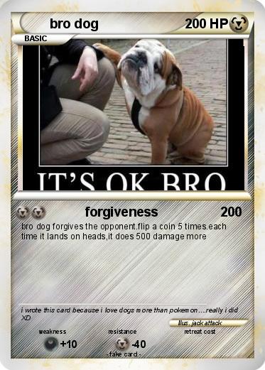 Pokemon bro dog