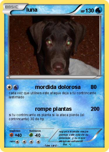 Pokemon luna