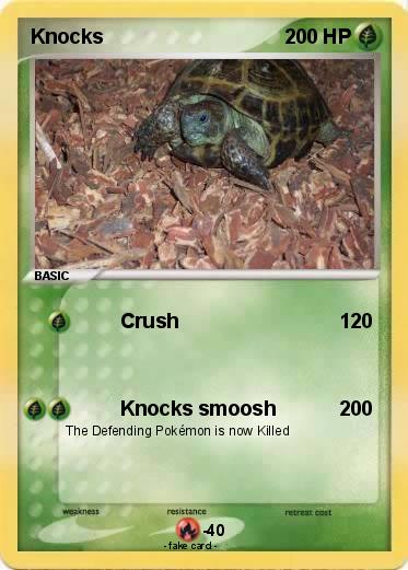Pokemon Knocks
