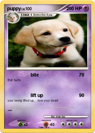 Pokemon puppy