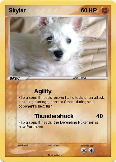 Pokemon Skylar