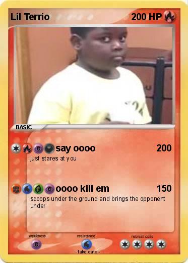 Pokemon Lil Terrio