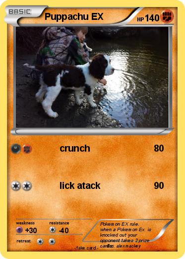 Pokemon Puppachu EX