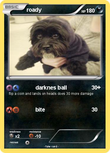 Pokemon roady
