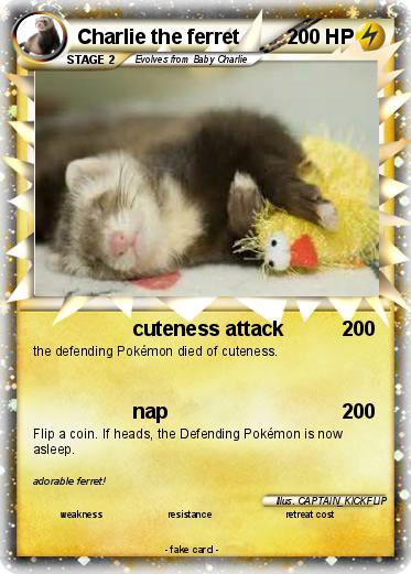Pokemon Charlie the ferret