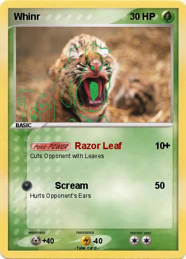 Pokemon Whinr