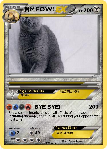 Pokemon MEOW!!