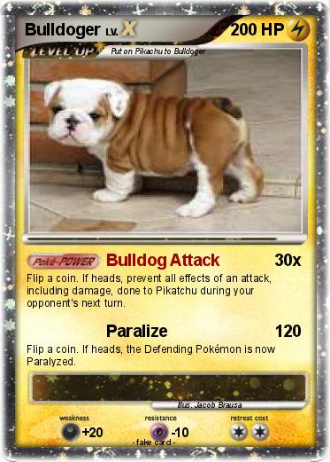 Pokemon Bulldoger
