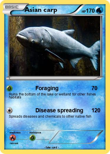 Pokemon Asian carp