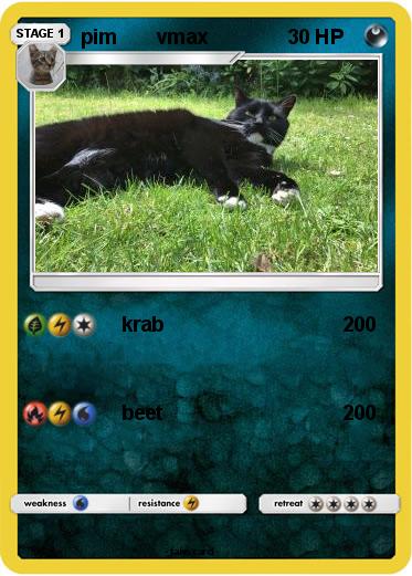 Pokemon pim       vmax