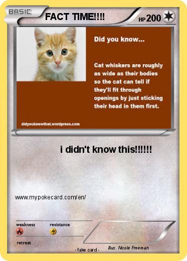 Pokemon FACT TIME!!!!