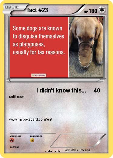 Pokemon fact #23