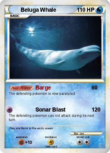 Pokemon Beluga Whale