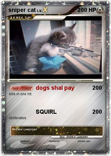 Pokemon sniper cat