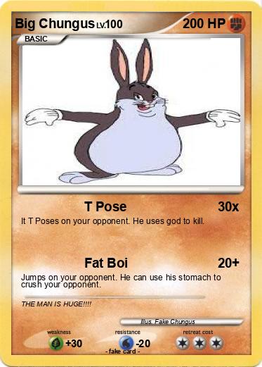 Pokemon Big Chungus