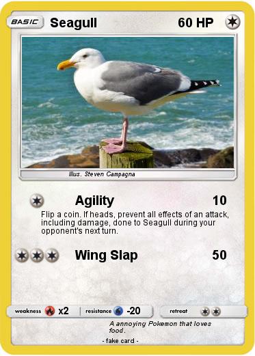 Pokemon Seagull