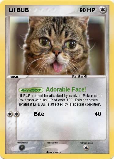 Pokemon Lil BUB
