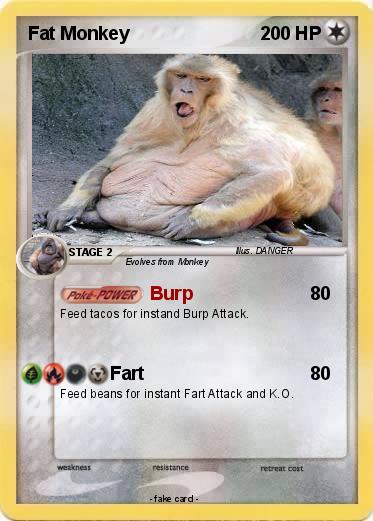 Pokemon Fat Monkey