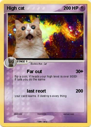 Pokemon High cat