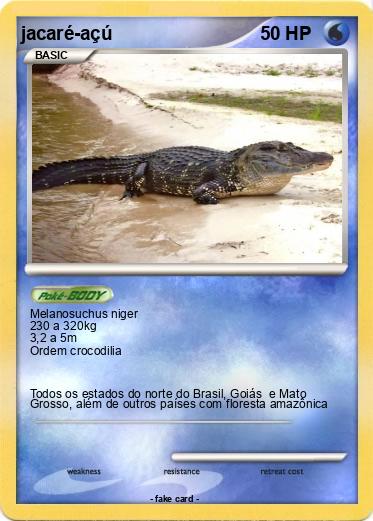 Pokemon jacaré-açú