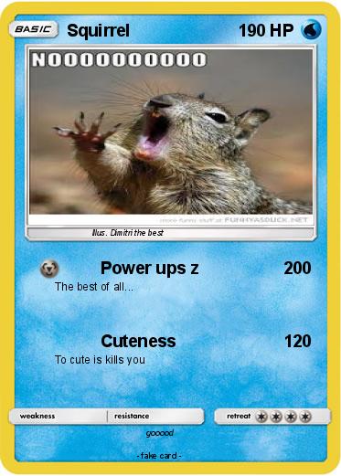Pokemon Squirrel