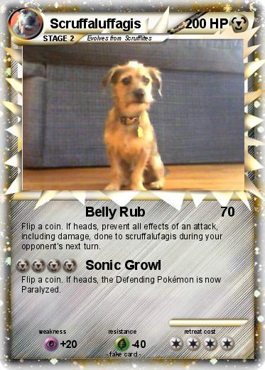 Pokemon Scruffaluffagis