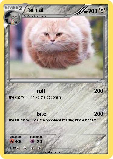 Pokemon fat cat