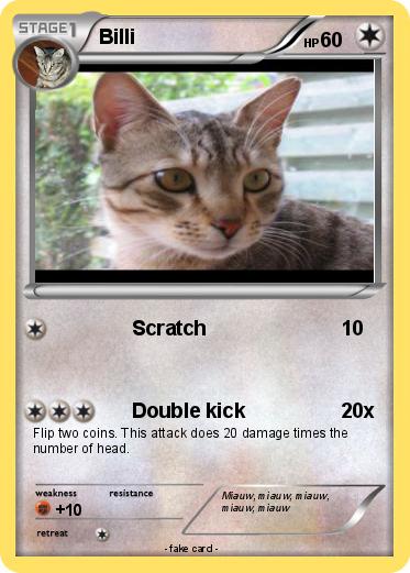 Pokemon Billi