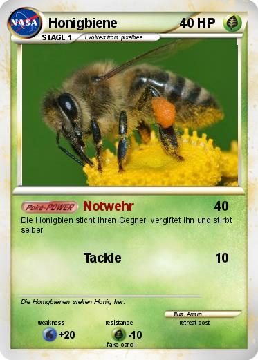 Pokemon Honigbiene