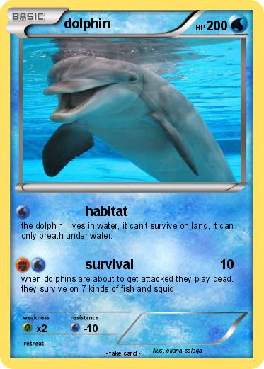 Pokemon dolphin
