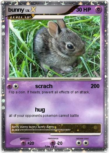 Pokemon bunny