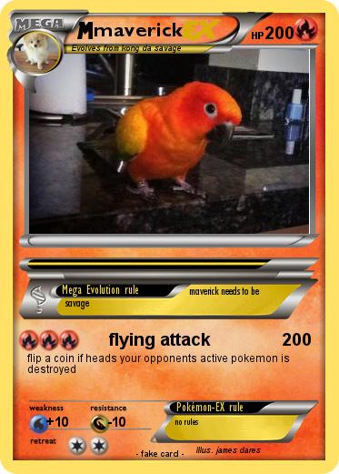 Pokemon maverick