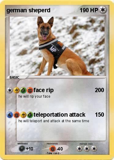 Pokemon german sheperd