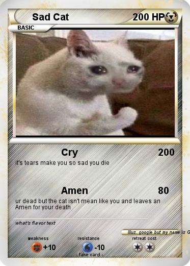 Pokemon Sad Cat