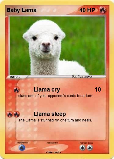 Pokemon Baby Lama
