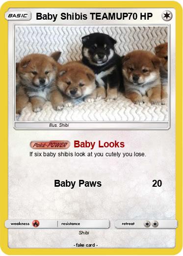 Pokemon Baby Shibis TEAMUP