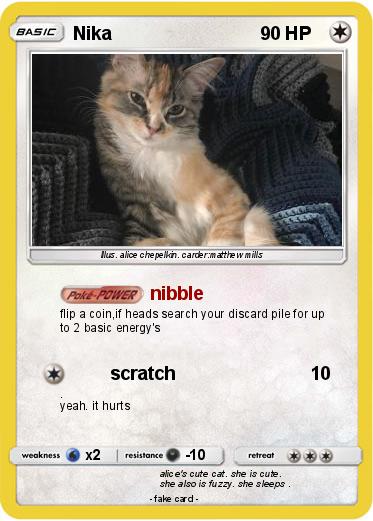 Pokemon Nika