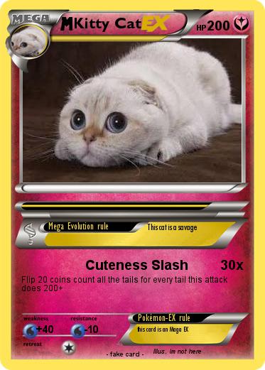 Pokemon Kitty Cat