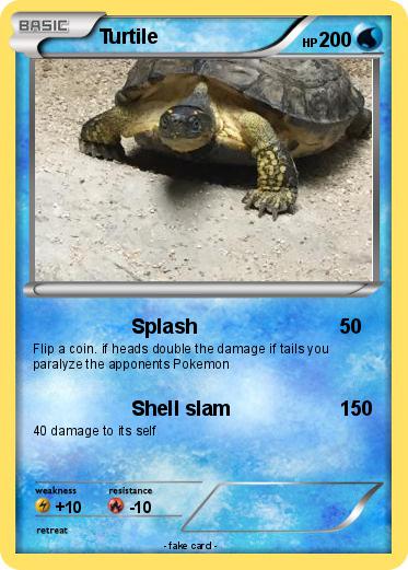 Pokemon Turtile