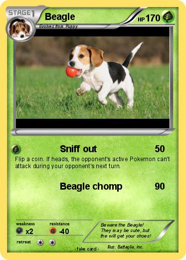 Pokemon Beagle