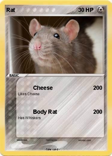 Pokemon Rat