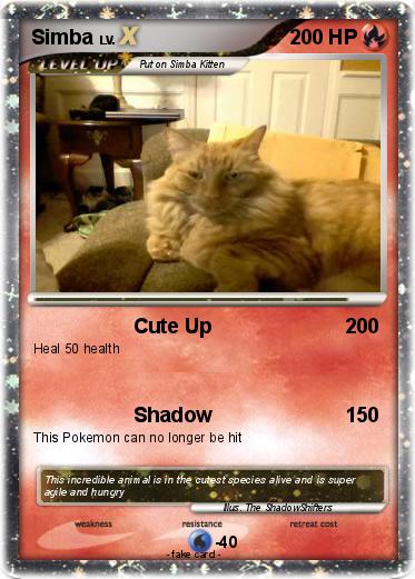 Pokemon Simba