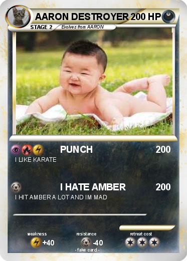 Pokemon AARON DESTROYER