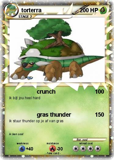 Pokemon torterra